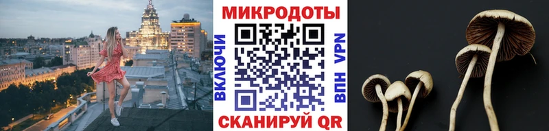 MEGA сайт  наркошоп  Отрадная  Псилоцибиновые грибы мицелий 